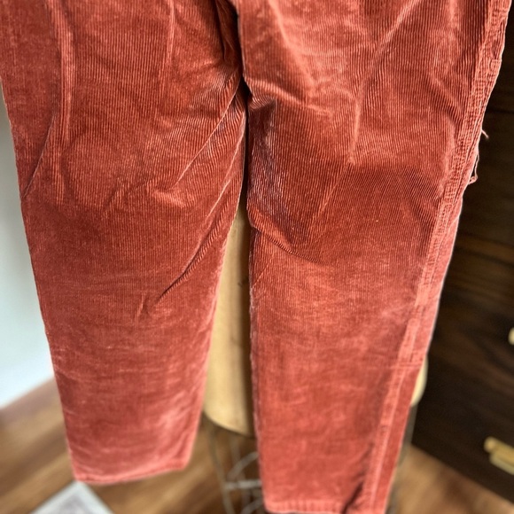 Anthropologie Picro “the wanderer” rust corduroy slim fit pants 25P - Picture 8 of 13
